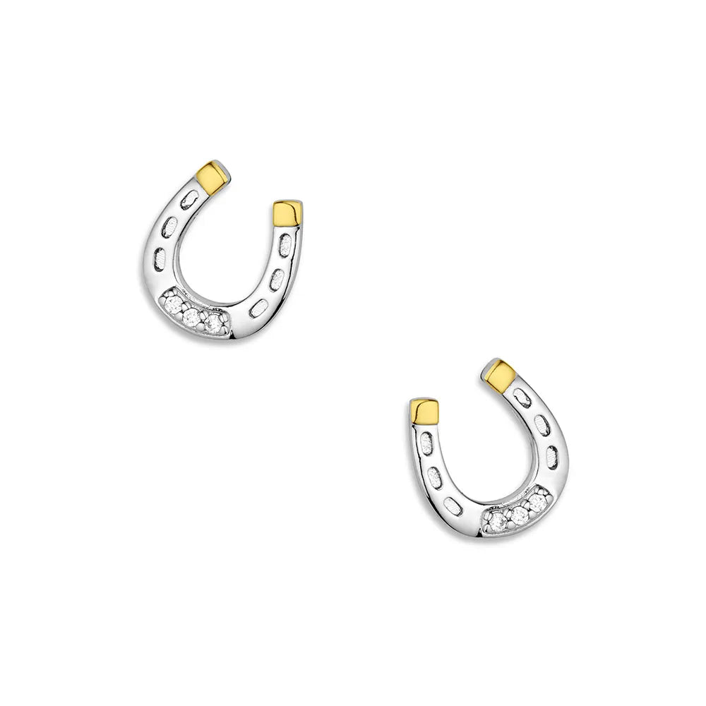 QER6429 Montana Silversmiths Lucky Harmony Earrings