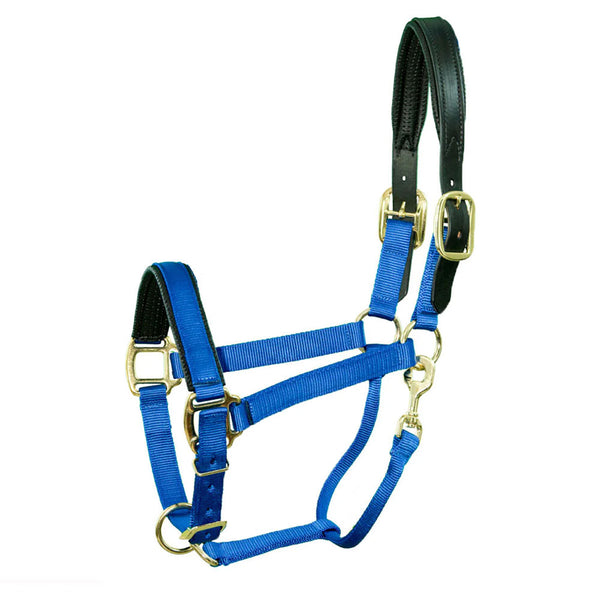 TH42 Premium Nylon Breakaway Halter with Padded Crown and Nose