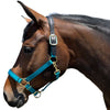 TH42 Premium Nylon Breakaway Halter with Padded Crown and Nose