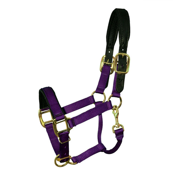 TH42 Premium Nylon Breakaway Halter with Padded Crown and Nose