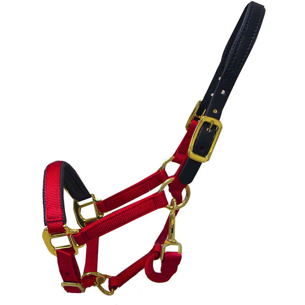 TH42 Premium Nylon Breakaway Halter with Padded Crown and Nose