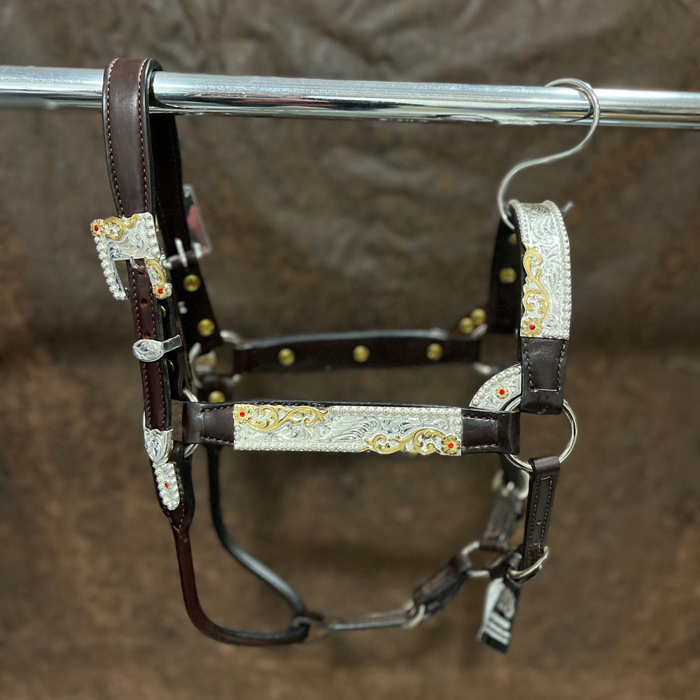 1231-103 Kathy's Show Halter Congress Cut with Red Stones