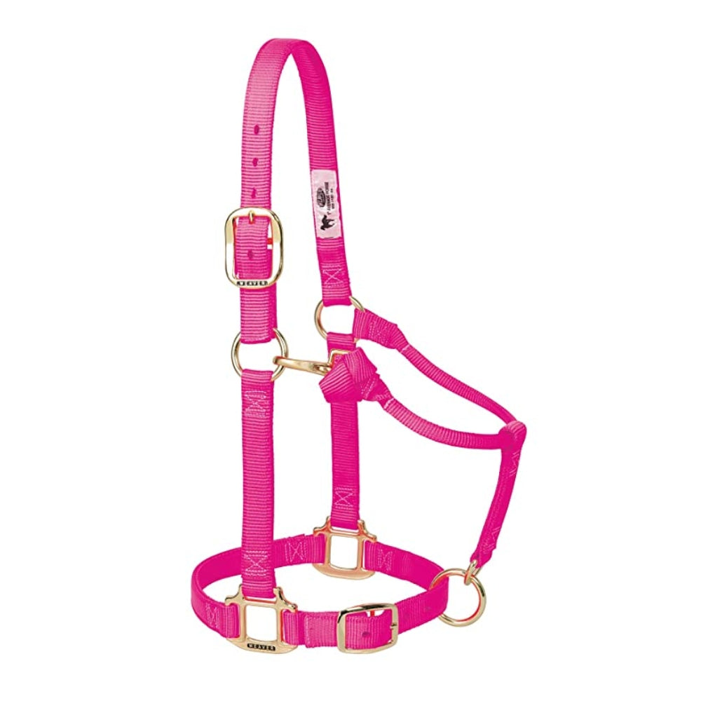35-4800 Weaver Leather Miniature Horse Halter Adjustable Chin & Throat Snap