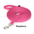 products/4231_Raspberry.png