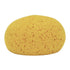 Decker Tack Sponge for Grooming and Cleaning