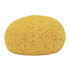 Decker Tack Sponge for Grooming and Cleaning