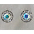 HER8355 Finishing Touch Rhondell Aurora Borealis w/ Crystal Stones Earrings
