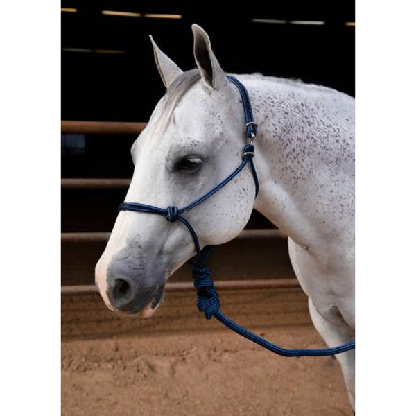 HRE Professional's Choice Easy On Rope Halter W/Lead