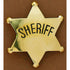 2820435 Large Texas Sheriff Star Kids Badge - Gold