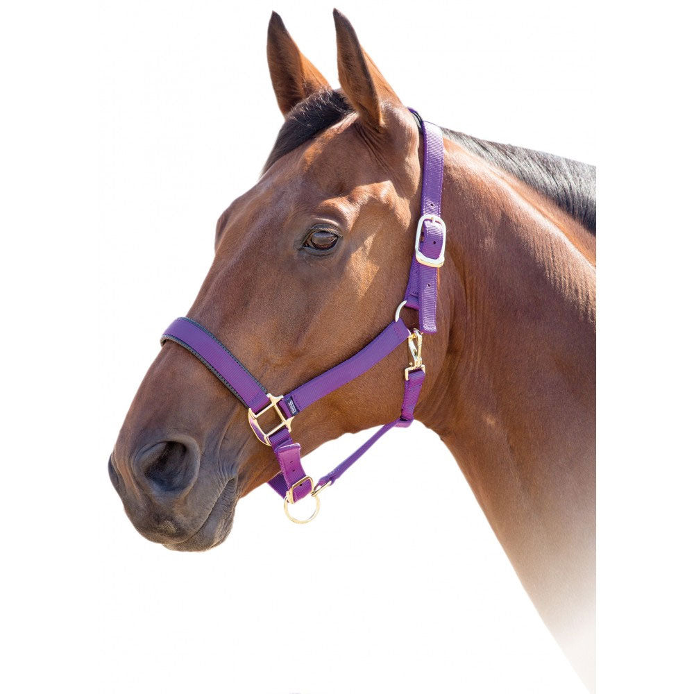 387L Shires Topaz Breakaway Padded Nylon Halter