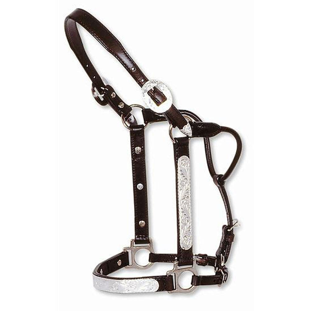 0419-0000 Circle Y Show Halter Dark Oil Antique Engraved Yearling Size