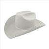 W0602F Bailey Stampede Western Cowboy Hat 2X Wool