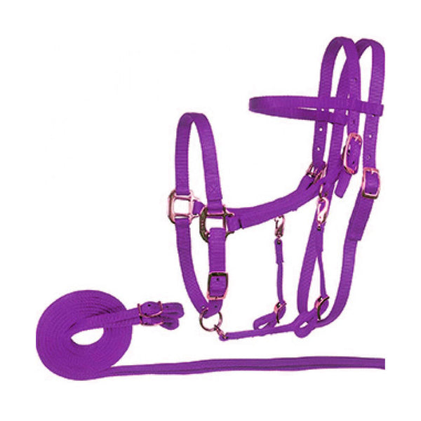 NP54 Fabtron Halter-Bridle Combo with Reins